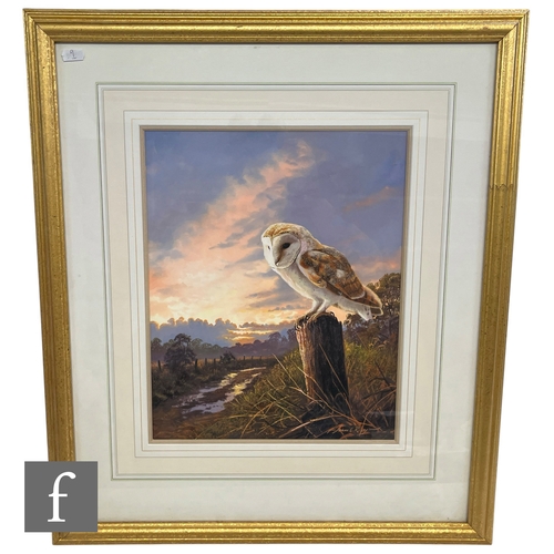 916 - ADRIAN RIGBY (BORN 1962) - A barn owl perched on a stump, gouache, signed, framed, 38cm x 30cm, fram... 