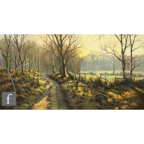 921 - TONY WOODING (BORN 1969) - A country lane in winter, oil on canvas, signed, framed, 41cm x 77cm, fra... 