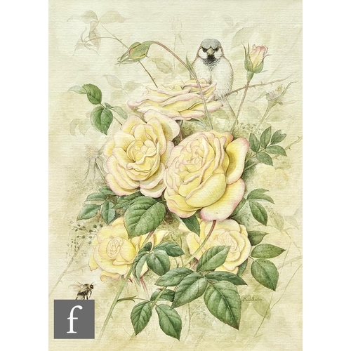 348 - DAVID J. BUCKLE (CONTEMPORARY) - A sparrow perched on a rose bush, watercolour, signed, framed, 33cm... 