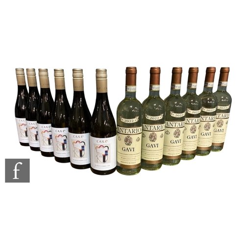 671 - Twelve bottles of Spanish and Italian white wine, to include six bottles of 2021 Care, Blanco Sobre ... 