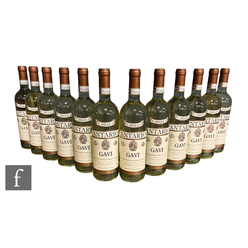 689 - Twelve bottles of 2022 Antario Gavi DOCG, Italy, white. (12)PLEASE VIEW CONDITION REPORT