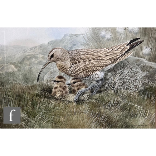 474 - C. DAVID JOHNSTON (LATE 20TH CENTURY) - A study of a short eared owl resting on a grassy tussock, wa... 