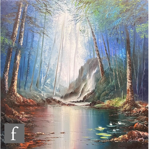 501 - PHILIP GRAY (CONTEMPORARY) - Rain Forest, oil on canvas, signed, framed, 50cm x 50cm, frame size 64c... 