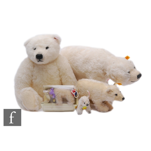 A group of Steiff polar bears, comprising 661747 Polar Ted, with ...