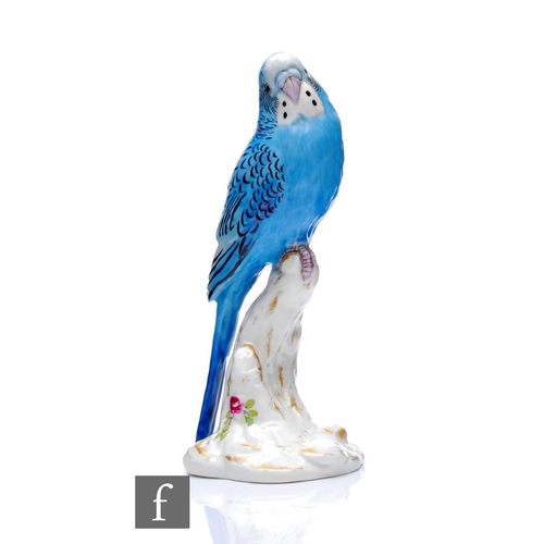 14 - A Royal Worcester budgerigar, circa 1950, modelled perched on tree stump base, pale blue plumage wit... 