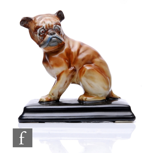 45 - Hollinshead & Kirkham (H&K) - Unicorn Works Tuntall - A figure of a bulldog, modelled sittin... 