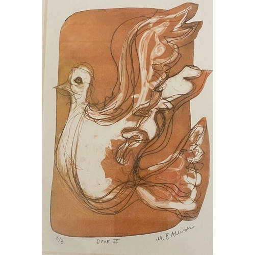 122 - Mike Allison (Artist based in Birmingham) - 'Dove 2', dry point print, framed, 19cm x 13cm, frame si... 