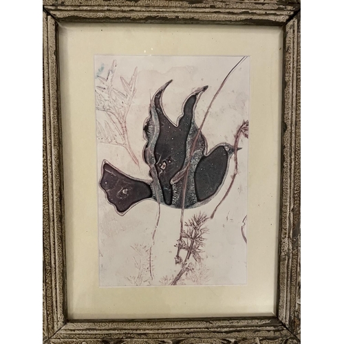 186 - Sue Oakley (Artist based in Stourbridge) - Collagraph Print, framed, 29.5cm x 29.5cm, frame size 40c... 