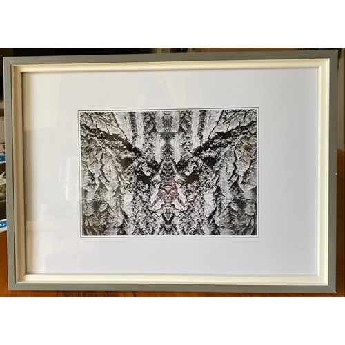 189 - Graham Fudger (Artist based in Northamptonshire) - Manipulated and mirrored photograph, framed 13cm ... 