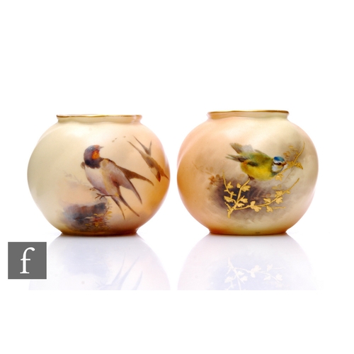 150 - A Royal Worcester bird painted vase, circa 1903, wrythen globe form, decorated with a blue tit on gi... 