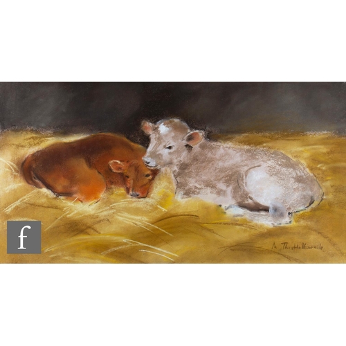 137 - ANN THISTLETHWAITE (CONTEMPORARY) - Calves in a barn, pastel drawing, signed, framed, 32cm x 62cm, f... 