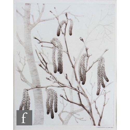 24 - MARIE DUCROS (EARLY 20TH CENTURY) - 'Catkins', etching, signed and dated 1931 in pencil, bears Royal... 