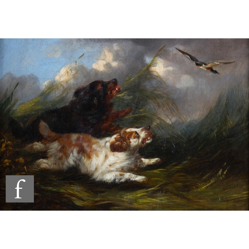 40 - ATTRIBUTED TO GEORGE ARMFIELD (1808-1893) - Spaniels chasing a mallard, oil on canvas, framed, 25.5c... 