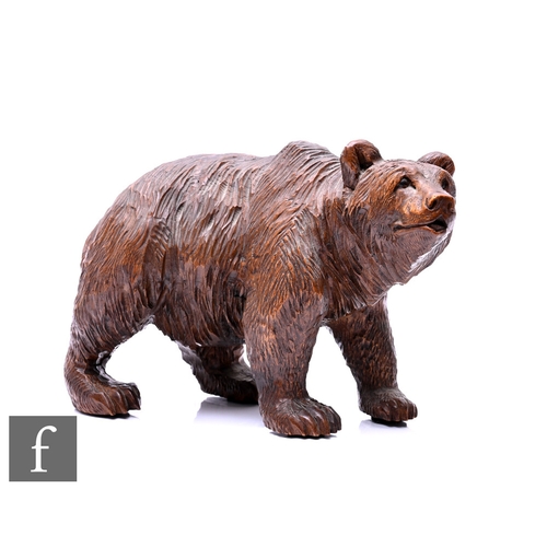 29 - A late 19th Century Black Forest carved walnut model of a walking bear, inset glass eyes, length 28c... 