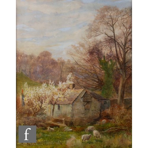 955 - EDWIN SHERWOOD CALVERT RSW (1844-1898) - A flock of sheep in a woodland glade, watercolour... 