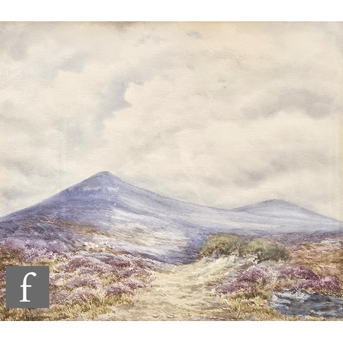 792 - H. Robinson (19th Century) - A moorland landscape with hills in the distance, watercolour, signed, f... 