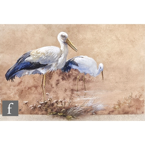 794 - Walter Powell (Early 20th Century) - Two storks standing at the waters edge, watercolour, signed and... 