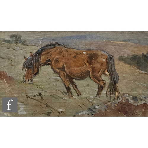 Lot 394       
