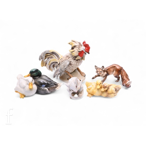 464 - A late 19th Century Gräfenthal figure of a cockerel, modelled with wings outstretched, on circular b... 