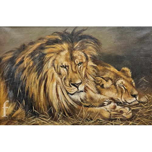 386 - A. Clarke After Geza Vastagh (Early 20th Century) - Resting lions, oil on canvas, signed and dated 1... 