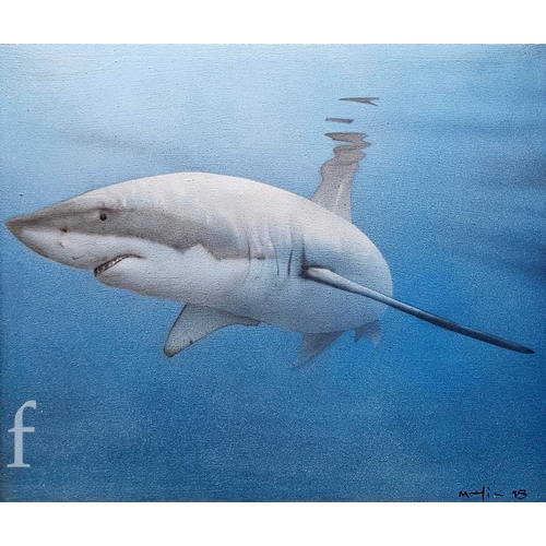 387 - Modern British School - A study of a great white shark, airbrush on canvas, signed indistinctly and ... 