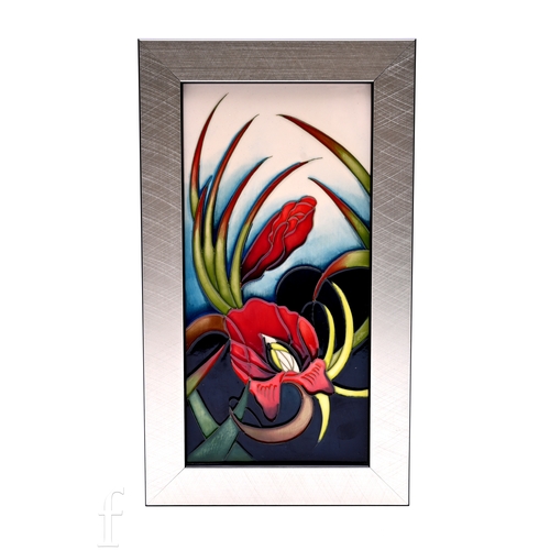 Lot 804       