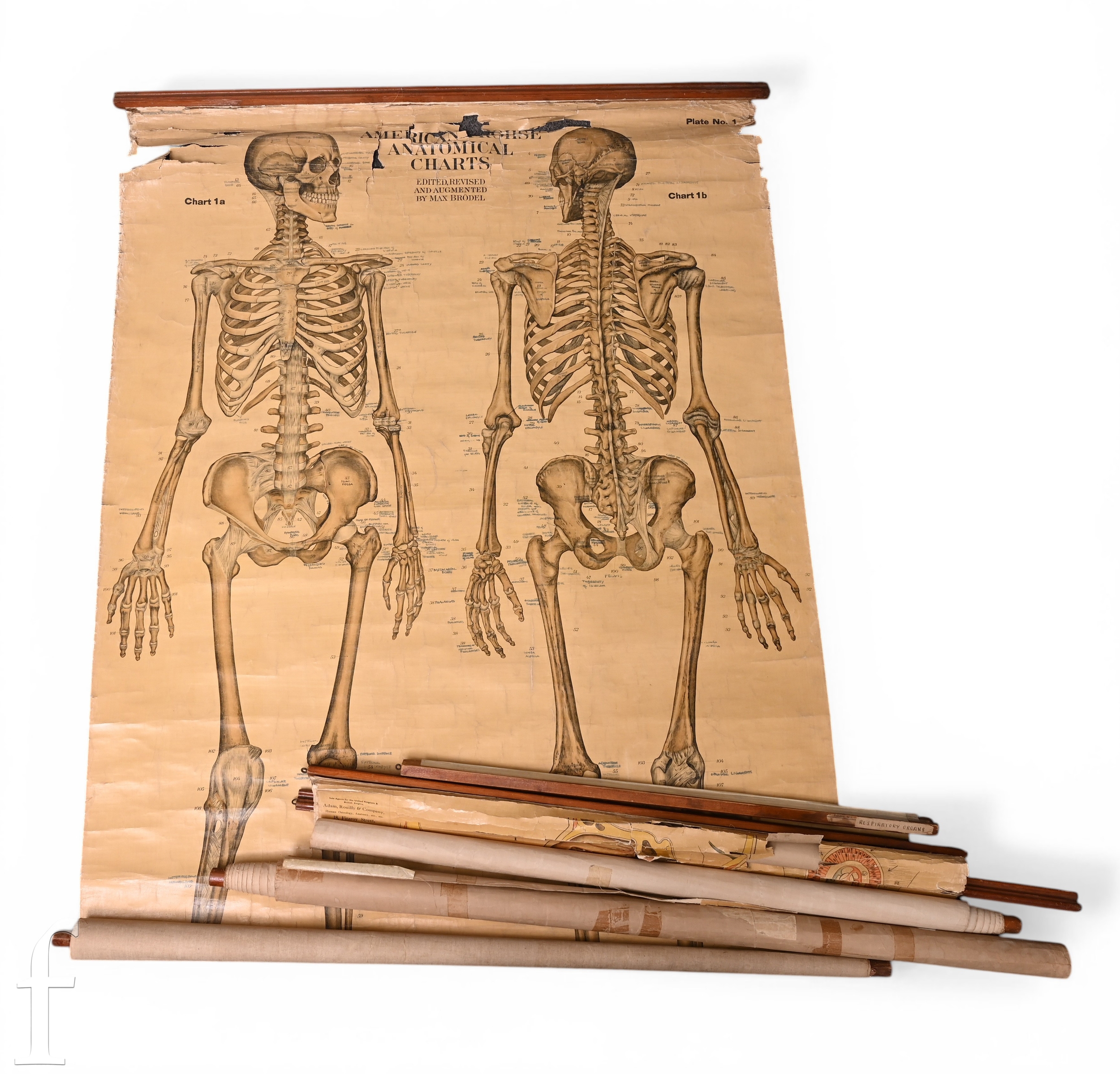 A group of four early 20th Century Adam Rouilly & Company medical and ...