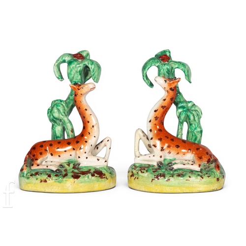 805 - A pair of Staffordshire giraffe figures, each modelled resting beside fruiting palm trees, rust red ... 