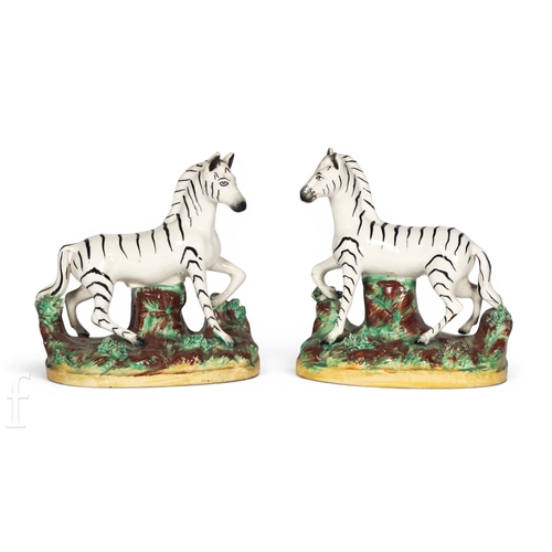 806 - A pair of mid 19th Century Staffordshire zebras, each modelled with raised fore-leg, on naturalistic... 