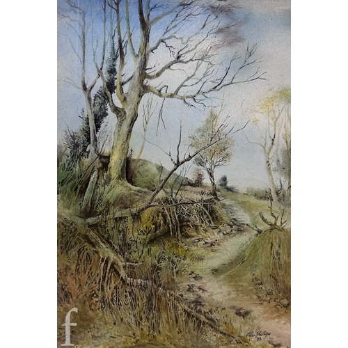1464 - Alan Phillips (20th Century) - A river landscape with wooden gate to the foreground, pen and waterco... 