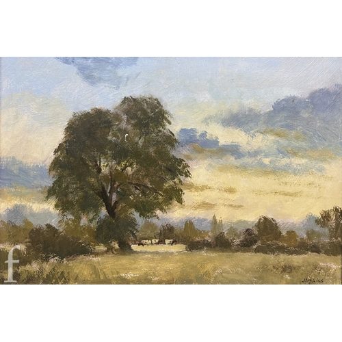 1482 - Percy Hipkiss, RBSA (1912-1995) - Cattle grazing in a countryside landscape, oil on canvas, signed, ... 