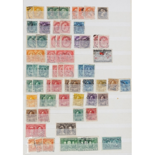 Lot 767       