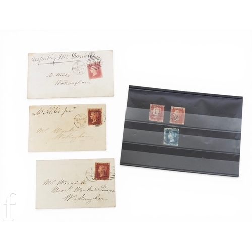 Lot 774       