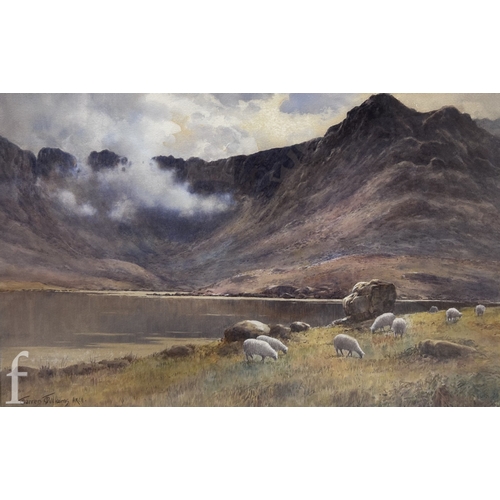 Lot 691       