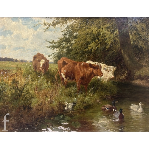 Lot 654       