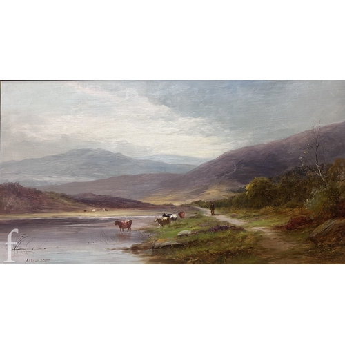 Lot 658       