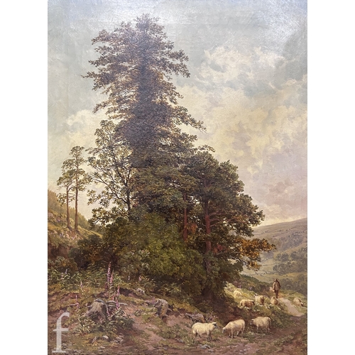 Lot 659       