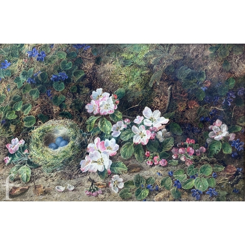 Lot 644       