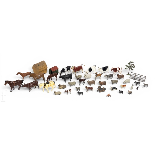 Lot 53        