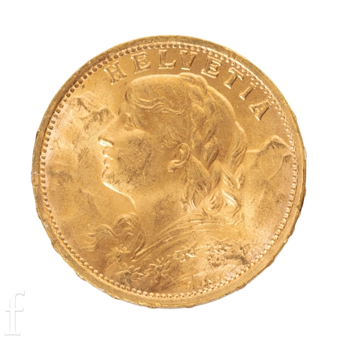 Lot 11        