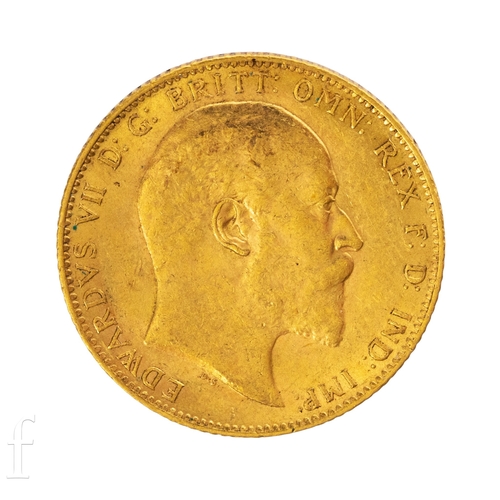 Lot 29        