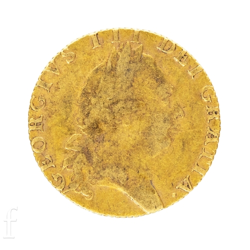 Lot 41        