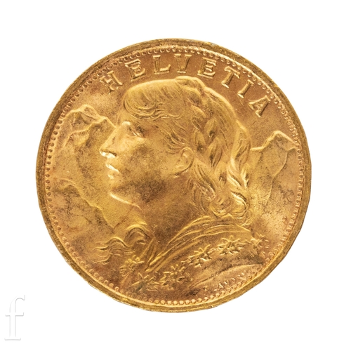 Lot 6         