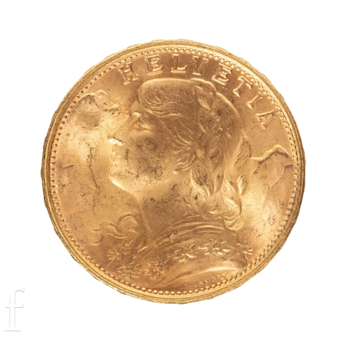 Lot 7         