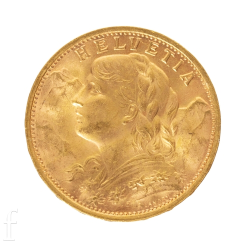 Lot 8         
