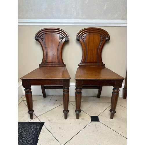 Lot 6         