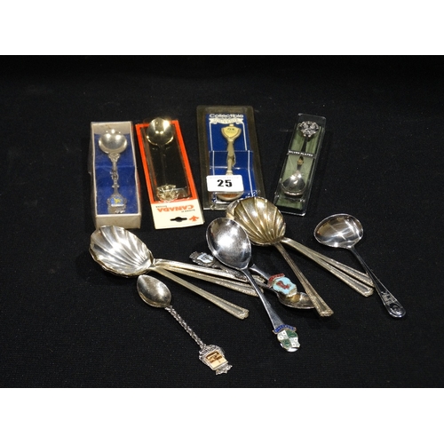 25 - A Collection Of Mixed Souvenir Spoons