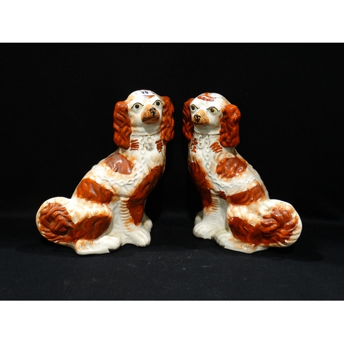 29 - A Pair Of Staffordshire Pottery Red & White Seated Dogs, 13