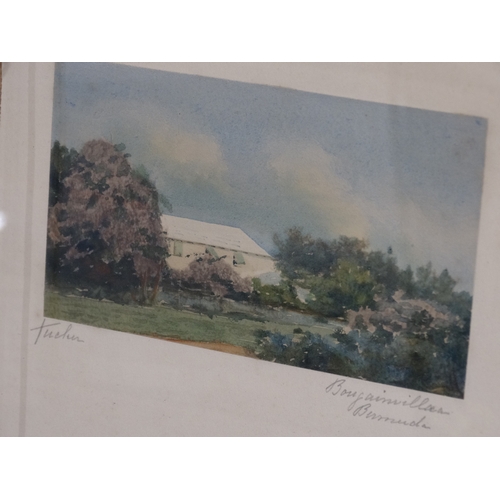 227 - A Group Of Signed Coloured Engravings Relating To Bermuda Views