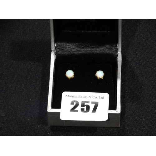 257 - A Pair Of Gold & Opal Set Solitaire Earrings